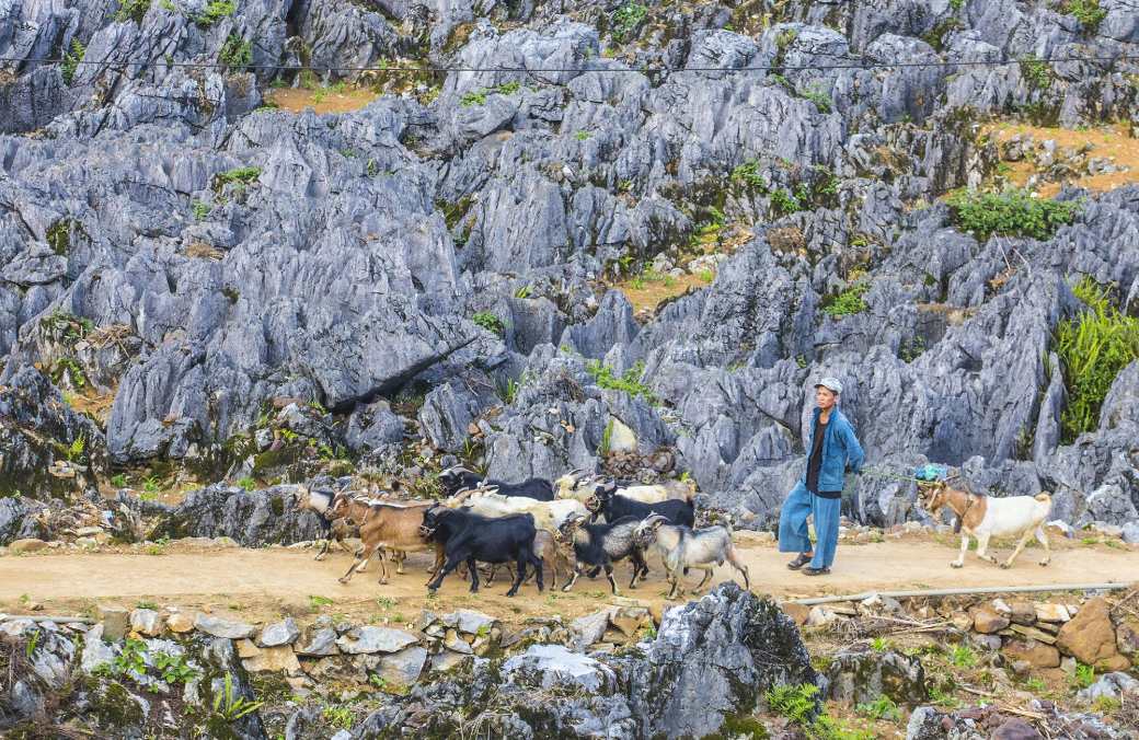 Why visit Dong Van Karst Plateau in Ha Giang